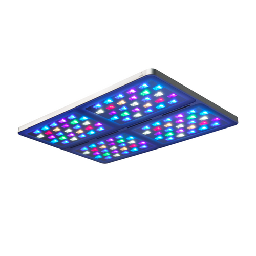 Nova Pro-1 Launch Pre-Order (Special Offer)